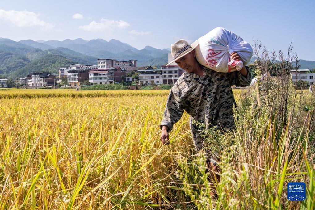 问鼎平台注册